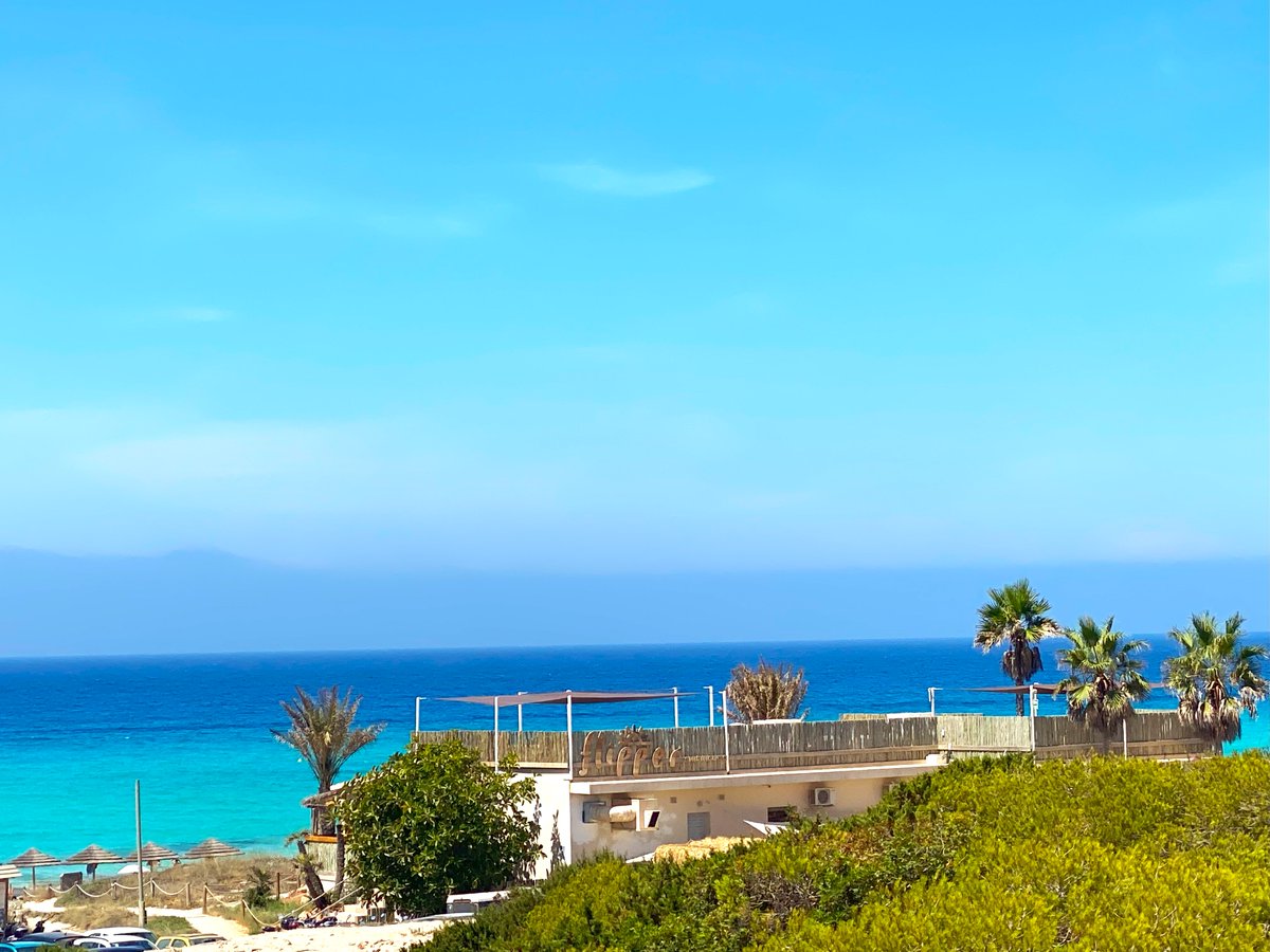 NowIbiza's tweet image. Formentera beach view: bar, sand, sea 🏖️🌅

 #FormenteraBeach #HorizonBar #SeasideVibes