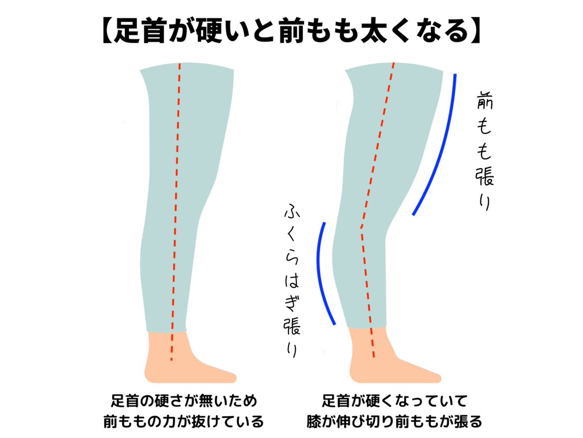 ogitoreshota's tweet photo. 『足首が硬い』と脚が太くなりやすい！実は足首が硬くなっていると、膝を突っ張るように立ってしまうから常に「前もも」や「ふくらはぎ」が張ってしまう！なので脚痩せのためには足首の柔軟性も必要になります！足首が硬い方はこちらを参考にしてみて→ https://t.co/S3t7AWnb8M