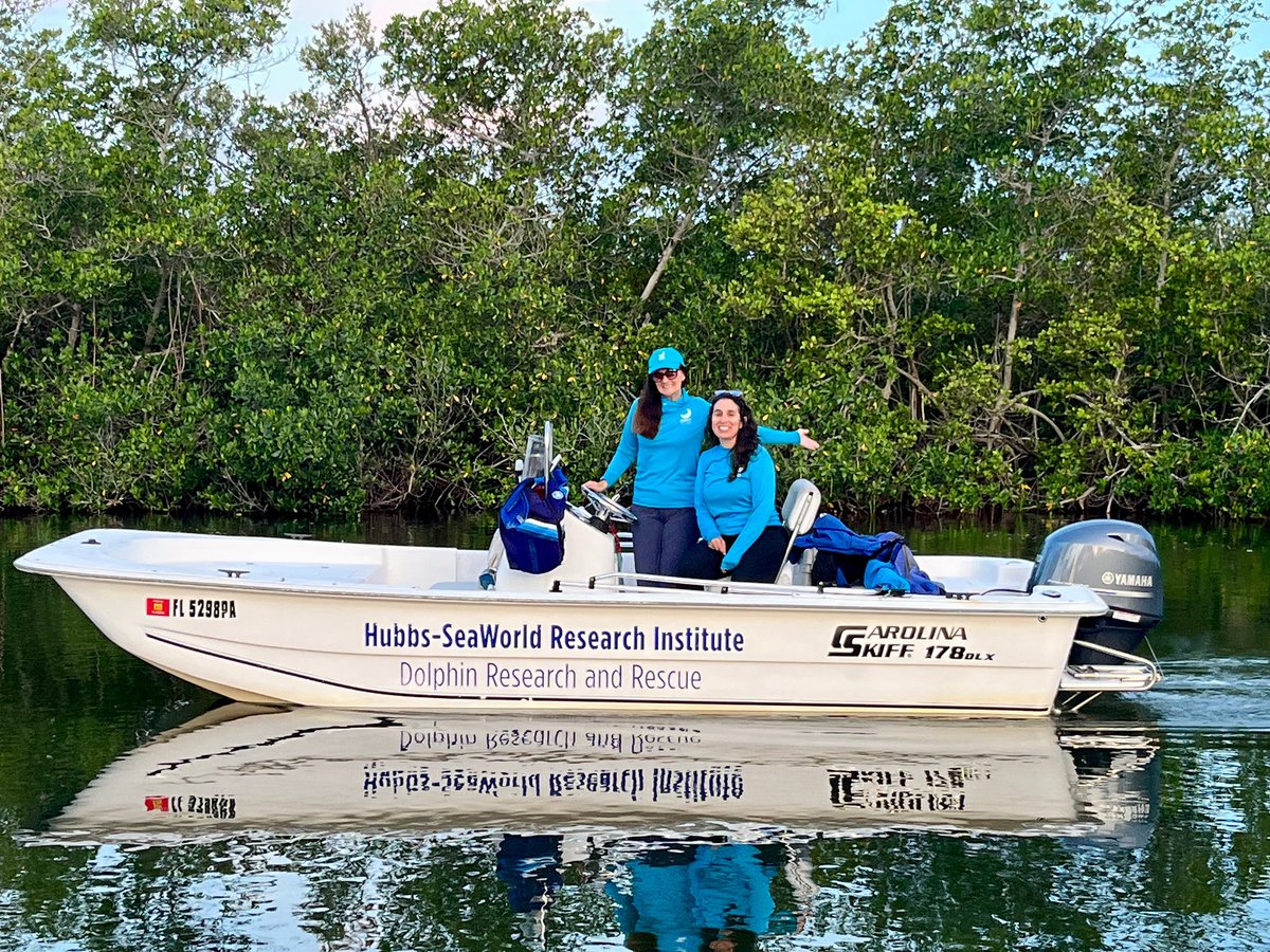 Yamaha becomes the new official outboard of Hubbs-SeaWorld Research Institute as the non-profit scientific research organization committed to conserving and renewing marine life forms a new relationship with Yamaha Rightwaters.🌊
-
#YamahaRightwaters