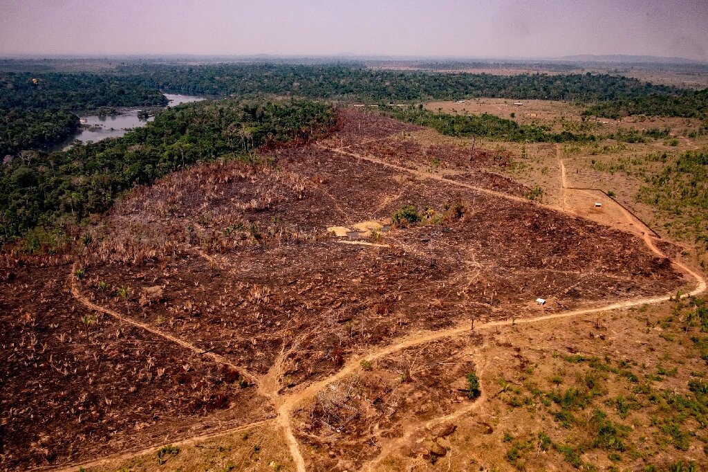 radiateluz's tweet photo. Amazon experiencing severe droughts

#Amazon is home to the largest rainforest with 390 billion trees which absorb carbon dioxide from the atmosphere. Unfortunately millions of hectares of Amazon forests are being cut down every year!

Amazon has never experienced such #droughts till recent times. It is the rainmaker of South America, but #deforestation has removed water vapour drastically, contributing to 40% drop in rainfall in Pantanal.  Scientists predict that a large part of it will become arid savannah in 20 years. 

According to Our Changing Planet, increased wild fires with less rain have destroyed 30% of the Pantanal, killing 17 million animals. Jaguars are severely impacted with more than a quarter of jaguars experiencing habitat loss, injury and food shortage. Jaguar habitats are also impacted by agriculture and cattle ranching in the area. 

May all of us raise awareness about Amazon's dire environmental issue so that we can save the important ecosystem of our world.