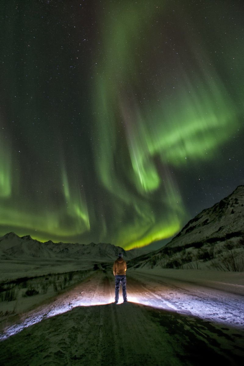 Planning to #TravelYukon? August to September is the best time to see the #NorthernLights 🌌 Our contributor <a href="/wanderwoman_Deb/">Wander Woman</a> shares tips on celestial viewing &amp; other ways to enjoy this larger-than-life destination: bit.ly/3P7OId4 #Travel 
📸: @TravelYukon