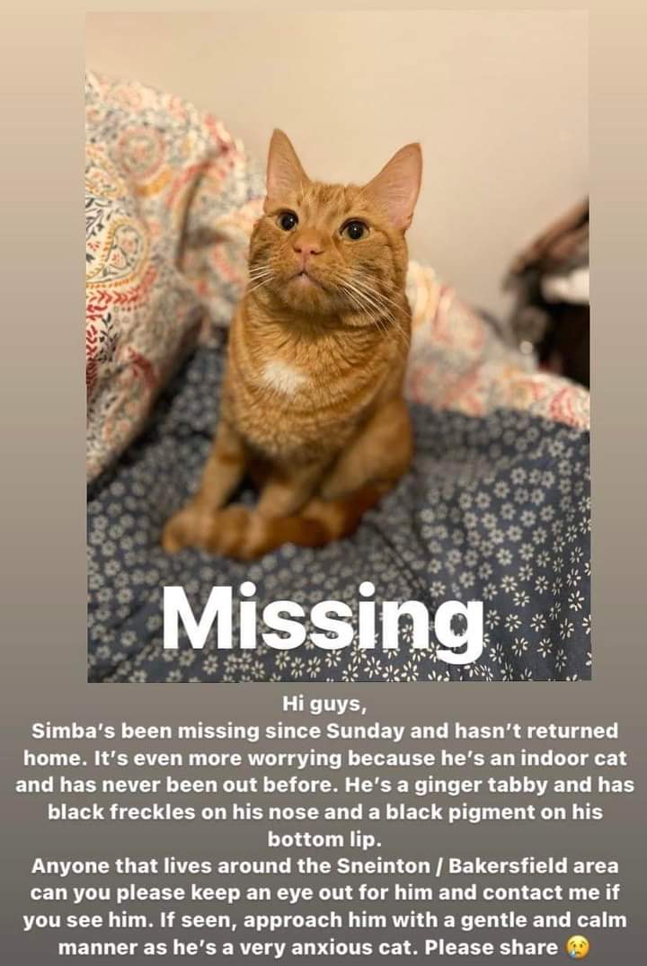 JohnDaffern2's tweet photo. Simba has been #missing from the #NG2 (#Sneinton area) since last Sunday/Monday now. He is #neutered and #chipped.Simba is ginger all around but has a patch of white on his chest. He is quite an anxious cat, so if spotted please approach him with caution and let me know. (copied) https://t.co/Q8S5giFxAd