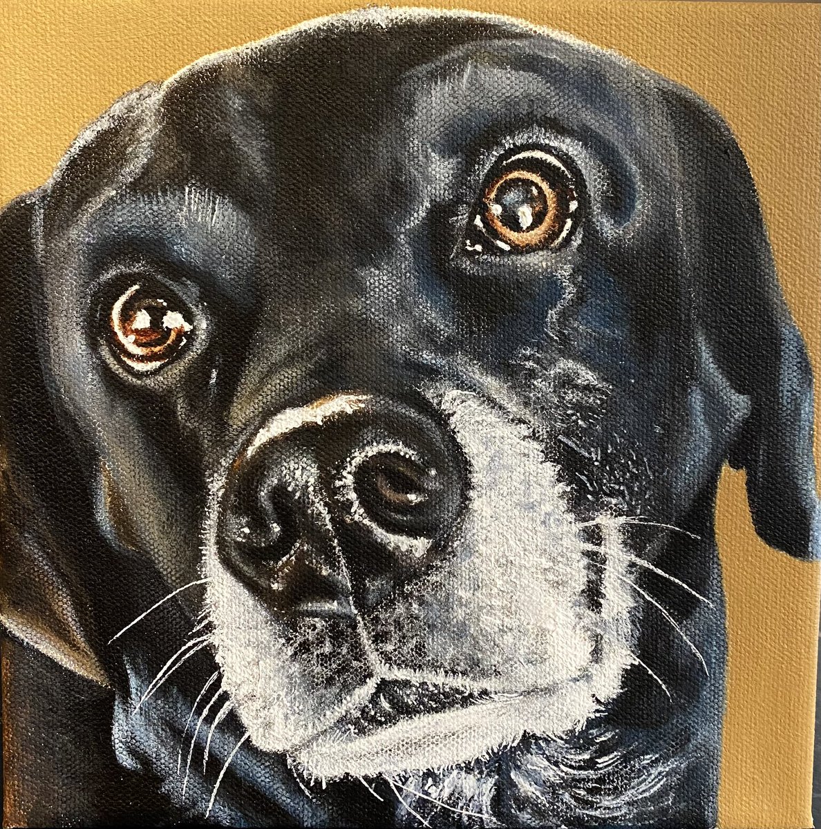 Recently completed pet portrait. #petportrait #petart #dogportrait #dog #pets #kylewhary #customart #homedecor #love #dogs #dogoftheday