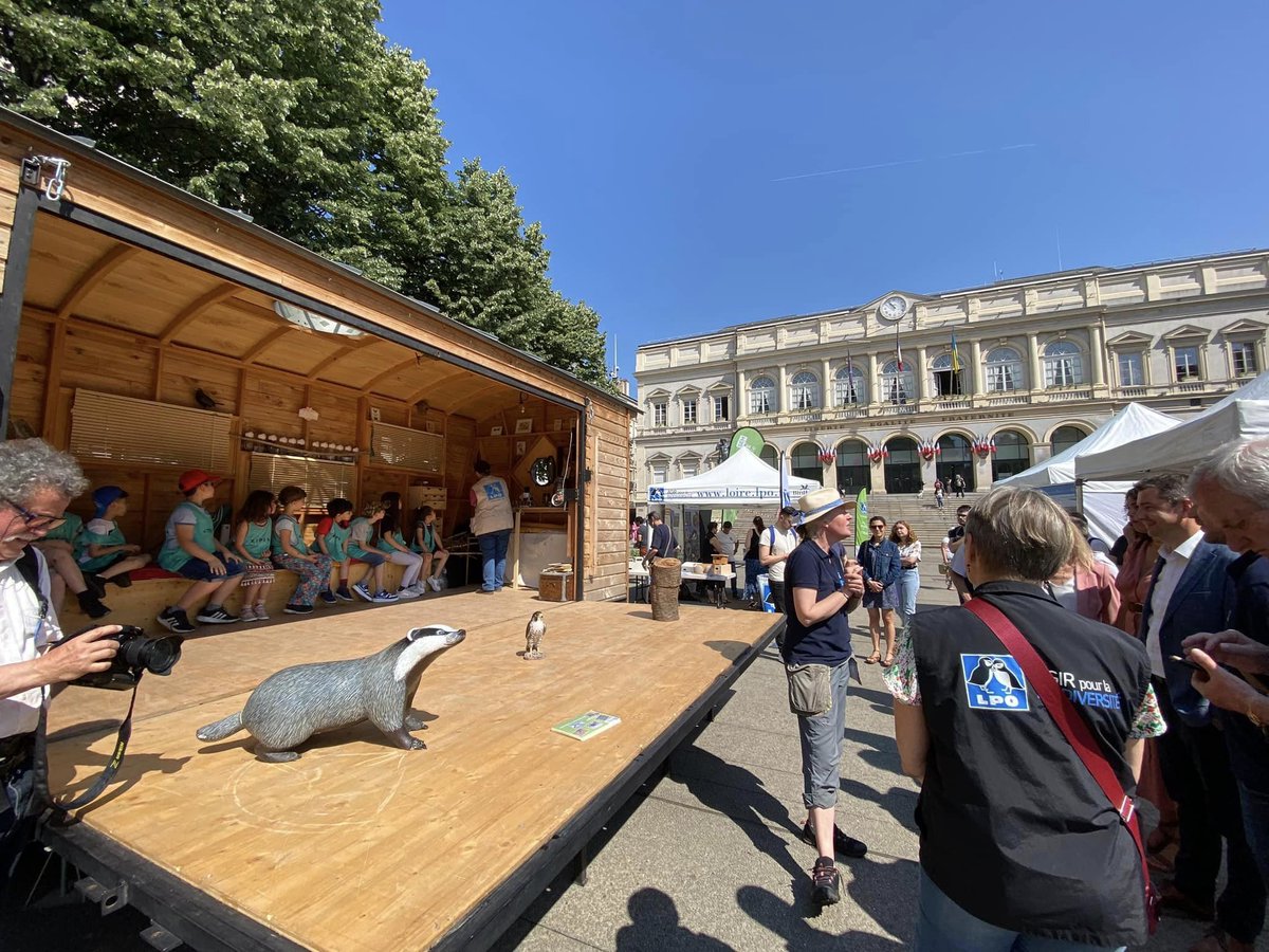 MajoriteSainte's tweet photo. En cette Journée mondiale des #martinets, la ville de Saint-Étienne se mobilise ! Nichoirs, préservation des sites de nidification, sensibilisation du public et collaboration avec les associations locales : des mesures concrètes pour protéger ces #oiseaux migrateurs fascinants. https://t.co/Z4TklPID2f