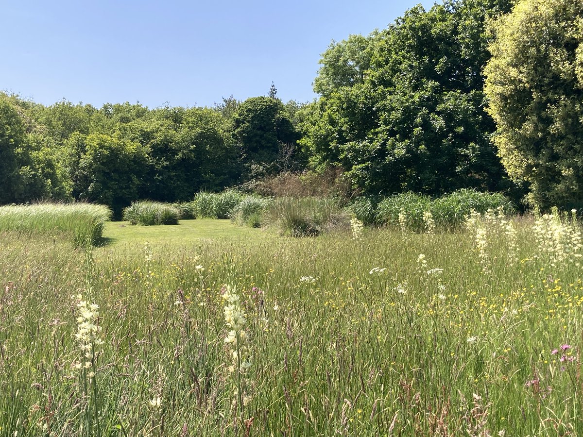 The stage is set for #Livemusic and magical #stories in the garden for Between the Dog and the Wolf (entre chien et loup) - our new twilight storytelling on Tuesday 27 June - book your tickets now dyffrynfernant.co.uk