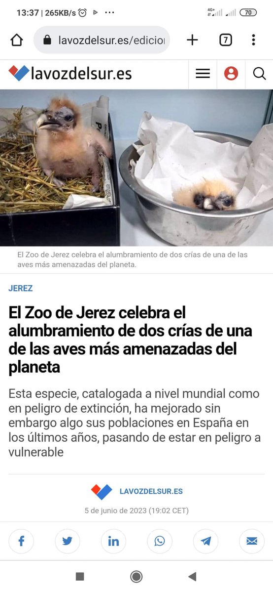 managingworld's tweet photo. Buenos días @RAEinforma ¿es correcto usar el término “alumbramiento” en esta noticia de @lavozdelsures? https://t.co/o3RU4bq8EE