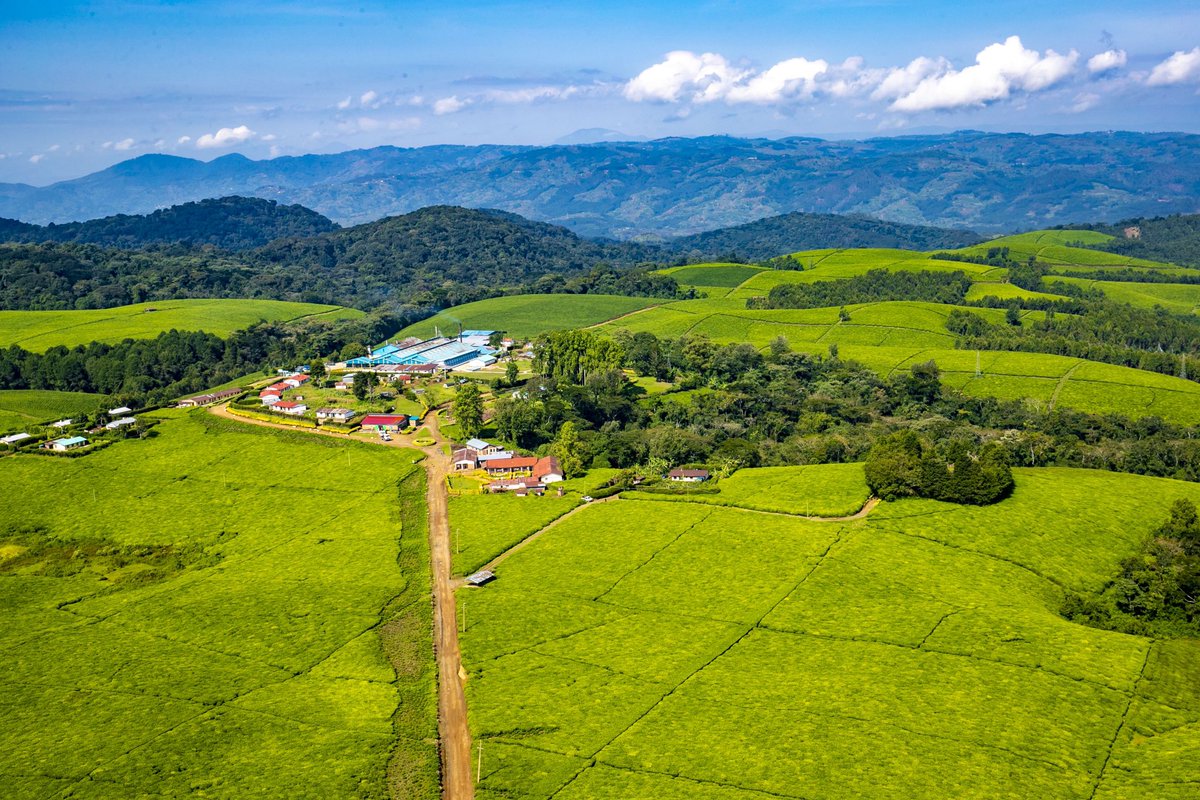 Faustin Nkurunziza on Twitter: