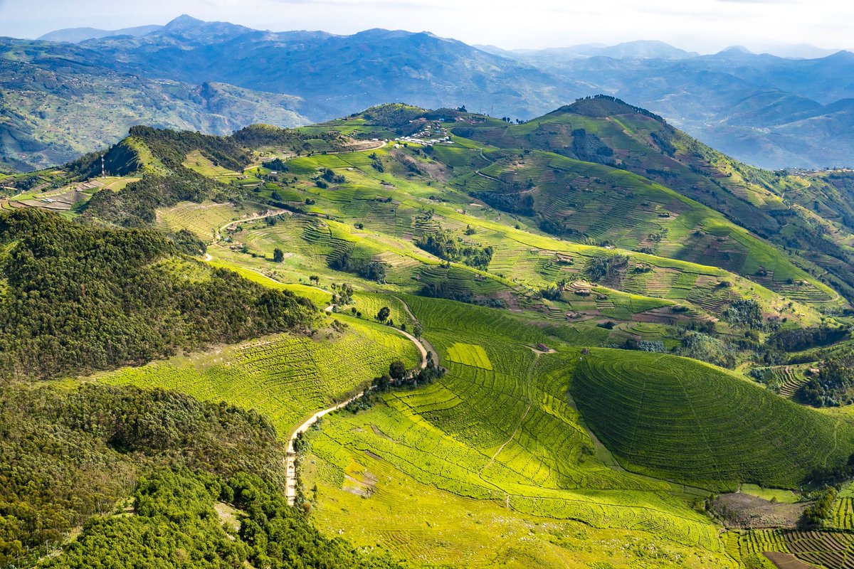 Faustin Nkurunziza on Twitter: