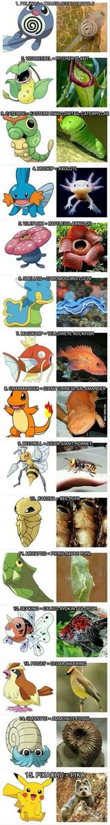 Eric White tweet media