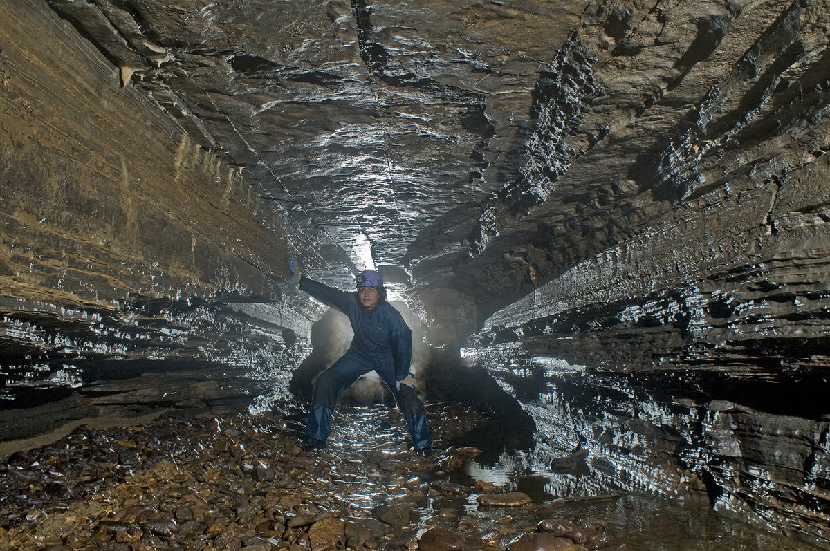 Happy #CaveWeek! 
Order FREE copies of our Caves and Karst journal! 
This journal examines research on white-nose syndrome in bats, karst forest areas, cave use of an indigenous tribe of Alaska, and the geologic difference between 2 different caves.
naturalinquirer.org/Caves-and-Kars…