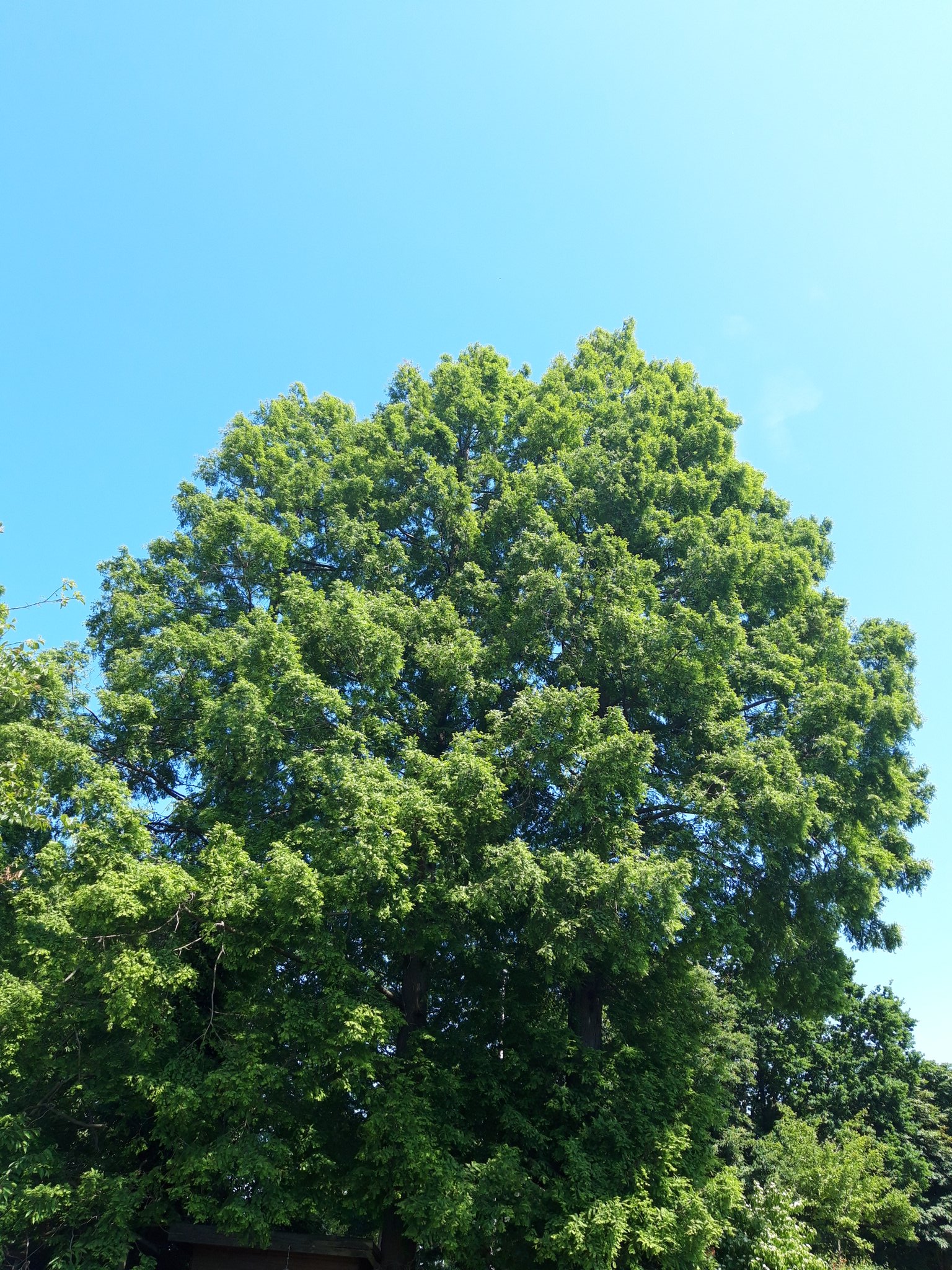 Praefectus Vigilum (PVigilum) / Twitter