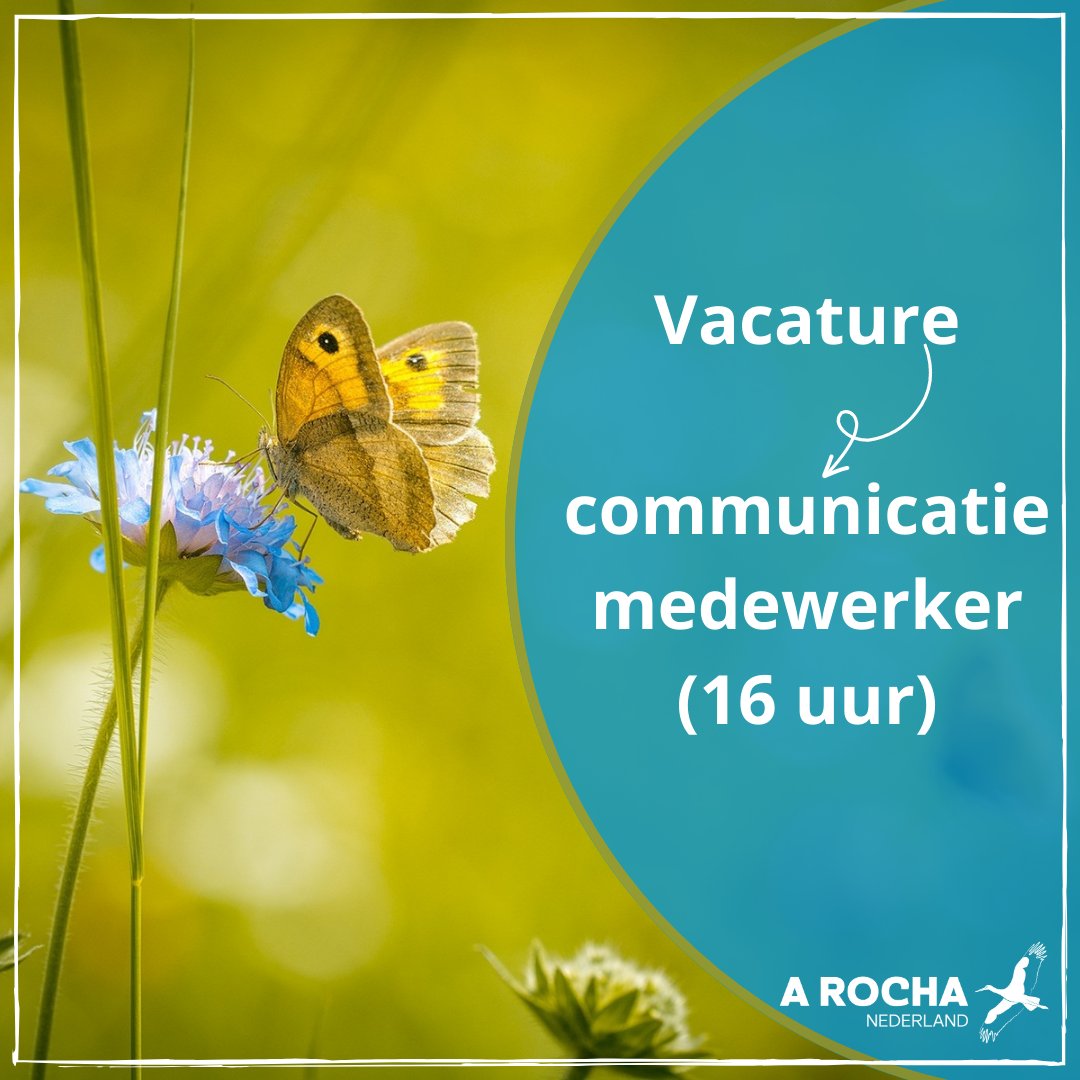 We zoeken een communicatiemedewerker (16 uur) die ons landelijke team wil versterken.  Bekijk hier de volledige vacature: arocha.nl/vacatures-en-v…