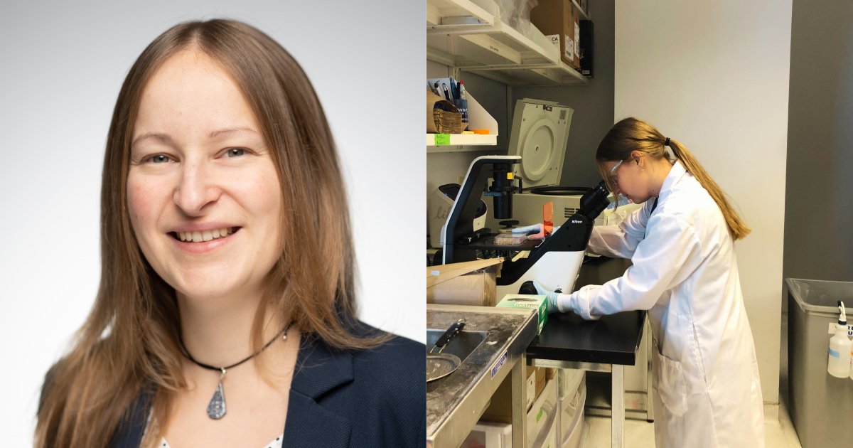 Donnelly Centre (@donnellycentre) on Twitter photo Congratulations to Lucie Wolf from the <a href="/angerslab/">Angers Lab</a>! 🎉
Lucie is our 2023 Charles H. Best Fellow. The #fellowship will support her research on finding new regulators of the Wnt signalling pathway, with potential for targeting #cancer cells.
Learn more 👉 bit.ly/2023BestFellow Congratulations to Lucie Wolf from the <a href="/angerslab/">Angers Lab</a>! 🎉
Lucie is our 2023 Charles H. Best Fellow. The #fellowship will support her research on finding new regulators of the Wnt signalling pathway, with potential for targeting #cancer cells.
Learn more 👉 bit.ly/2023BestFellow