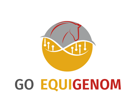 rfeagas's tweet photo. 🐴 Hoy se presenta el #Grupo Operativo #EQUIGENOM en #Sevilla.

ℹ️ ¡Puedes seguir el evento en directo a partir de las 18:00 horas, a través de la web de @anccepre!

🔗 https://t.co/7HFQe0SE1Y https://t.co/INNlrSFkit