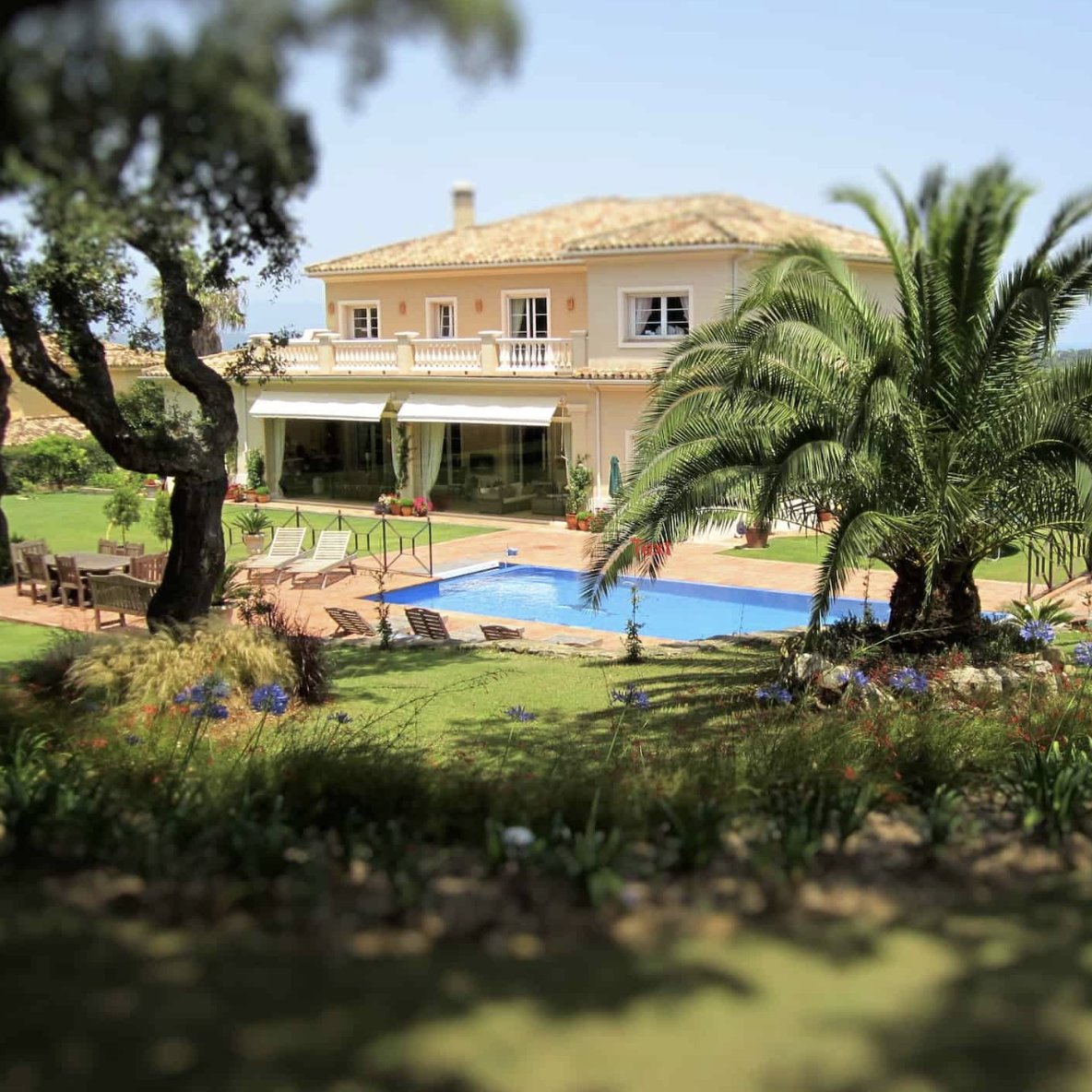 GingerBeerGolf's tweet photo. 🇪🇺 Solheim Cup Spain 2023 🇺🇸
Casa Roble is a smashing villa near Finca Cortesin on the Costa del Sol.
Available for the Solheim Cup week in Sept 2023.
Cheer on your team  📣 🇪🇺 Relax by the pool 👙 Play a round at Valderrama ⛳️
https://t.co/HYe5HPvZG9
#solheimcup #solheimcup2023 https://t.co/dalhNUsSLU