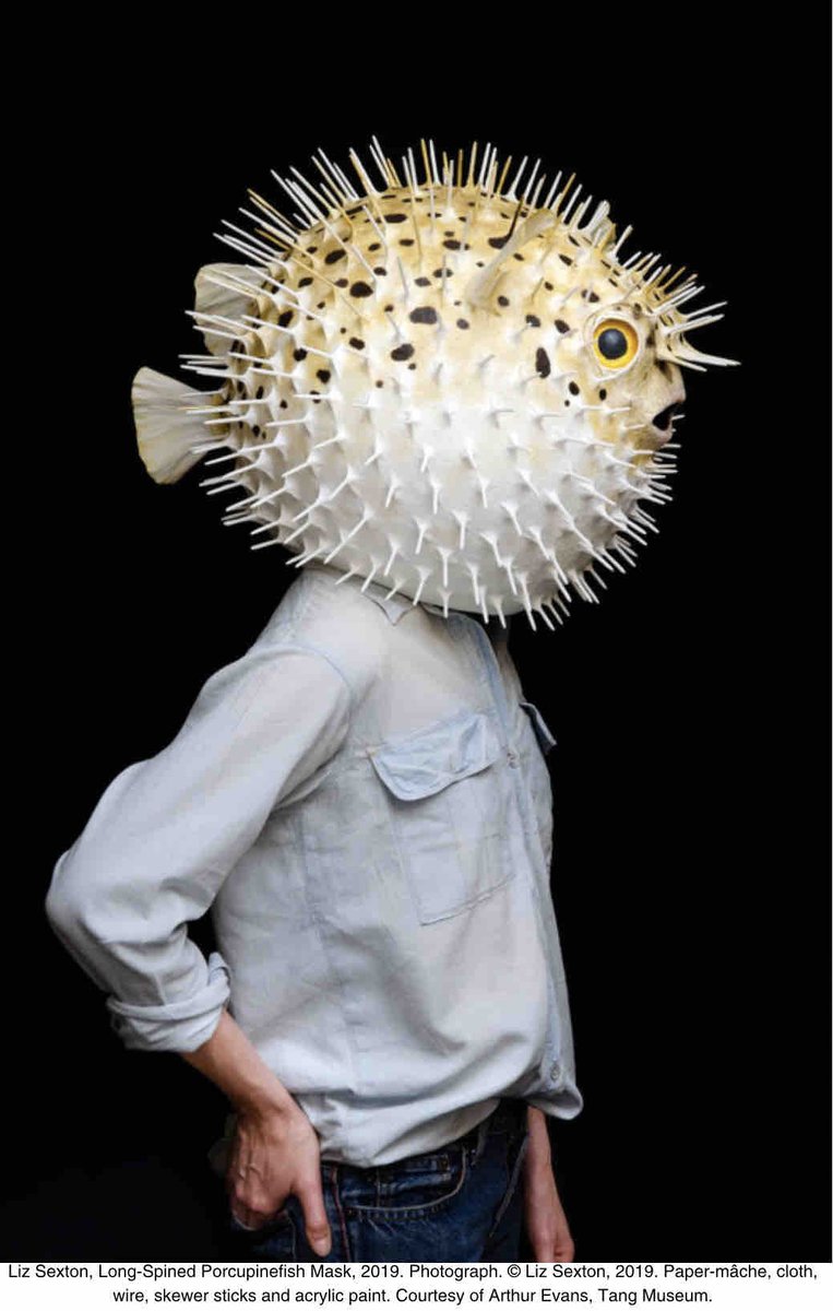 What is it like to be a fish out of water? Liz Sexton’s elaborate paper mâche masks of fish, birds, and mammals invite us to reflect on how often we are displacing animals from their natural habitat, forcing them to live in our human world.