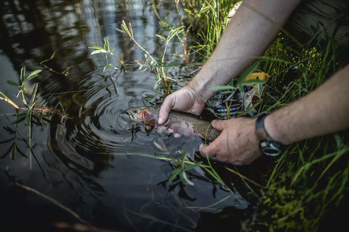 Interior's tweet photo. During Fishing and Boating Week, weโre giving big thanks to all those who fish. ๐ฃ
Anglers play a critical role in conserving wild places and animals in the United States. Without them, it would be much harder to protect the recreational areas that inspire us so much. https://t.co/MJDPRORzUw