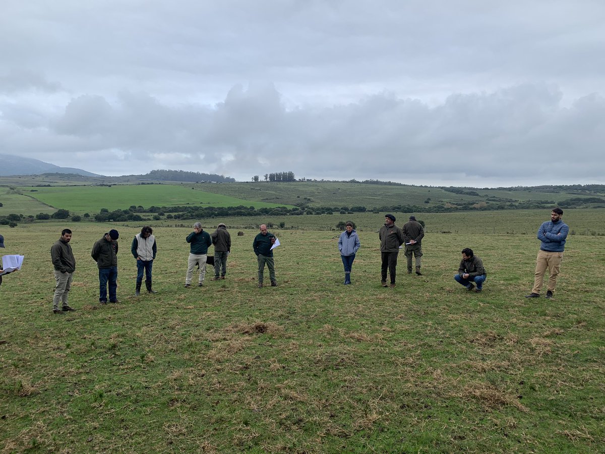 maria_zorrilla's tweet photo. Recorrida de campo
2 pasadas de rombo sobre pradera engramillada con siembra de Holcus y Lotus Rincon
@ToledoErnesto1 @PlanAgro @BarbatRicardo https://t.co/Aler6Fqwbi
