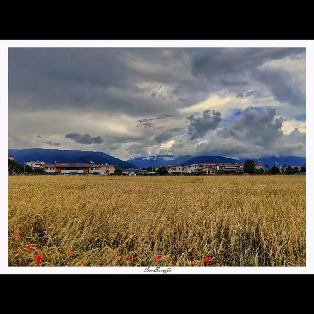 Buona serata 🌤

Ph. Ig baruffaciro 

#visitbassano #bassanodelgrappa #veneto #visitveneto #thelandofvenice #italy