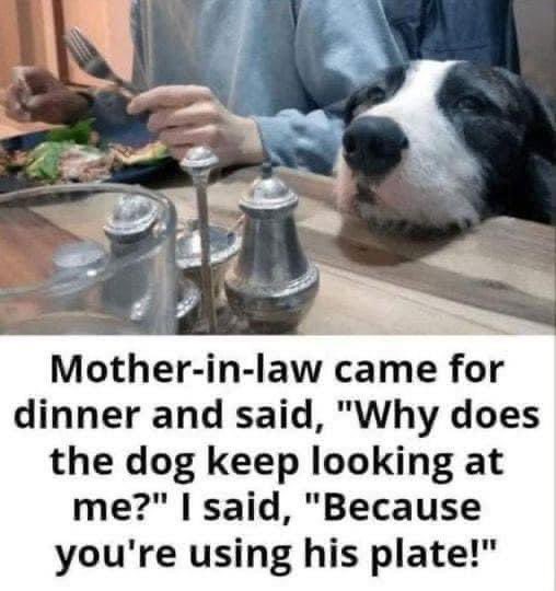 #funnystuff 🤣🤣🤣🤣🐾🐶