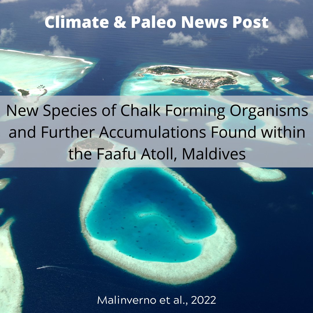 TimeScavengers's tweet photo. Guest blogger Nathan writes about coccolithophore diversity in the Maldives. Read more about this study on the site at https://t.co/5cQh7w2RKf #Microorganisms #Ecology #Palentology #Coccoliths  #GlobalWarming https://t.co/vwv1nOdlOJ