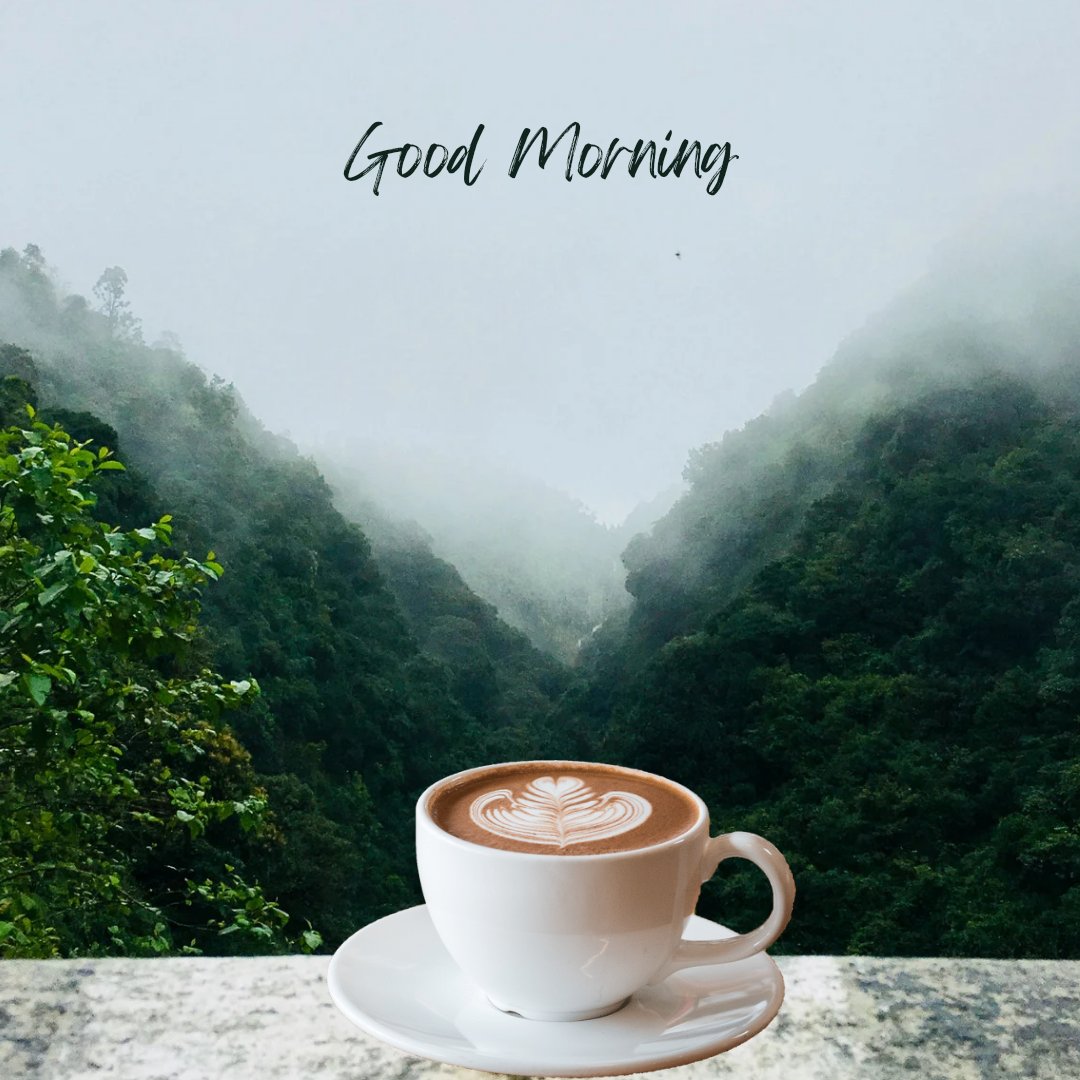 Pepe Crocodile tweet media