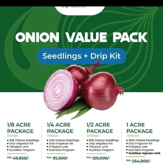 onion doctor on Twitter "Home stretch for our client's project in
