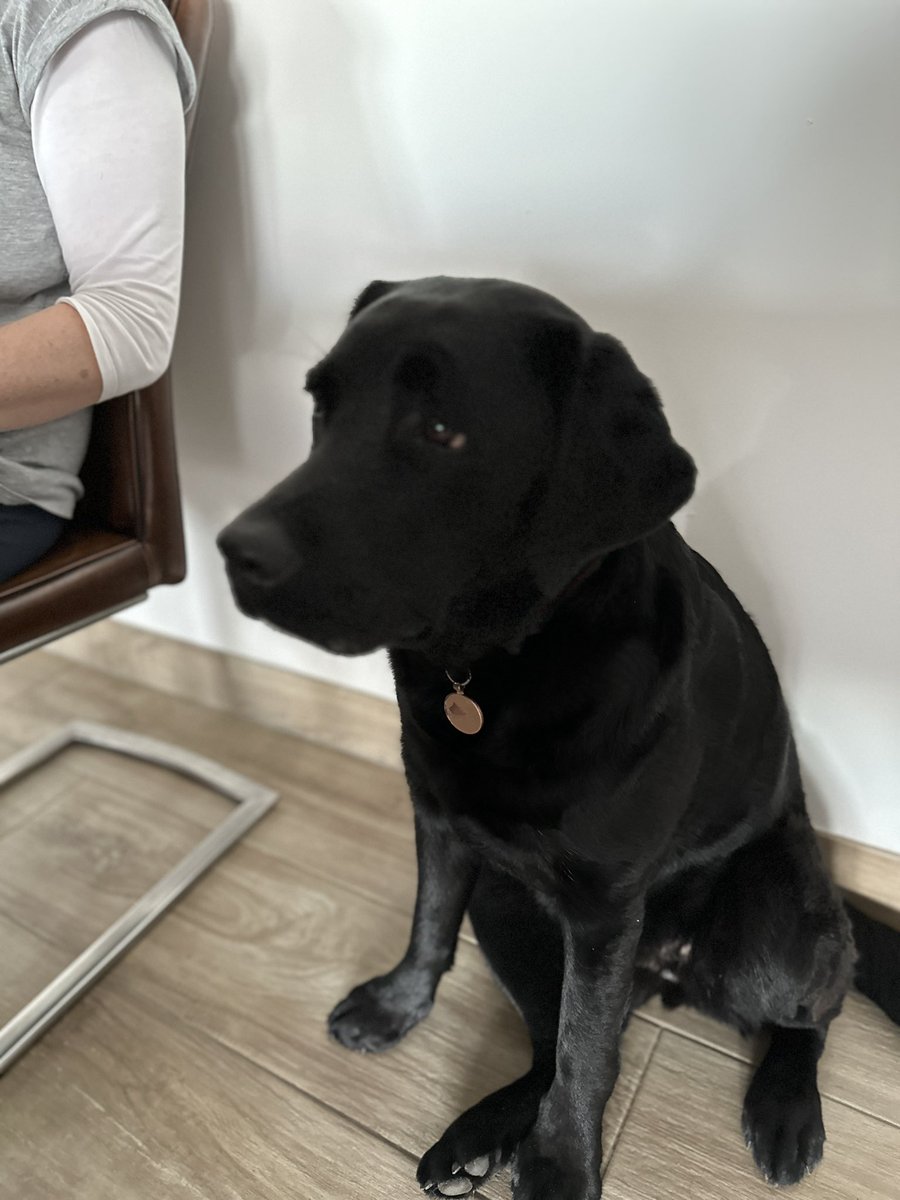 MLambswick's tweet photo. @FiCollins_ Nose bumps to the little one! 🐾 https://t.co/5XaQxgl5KU