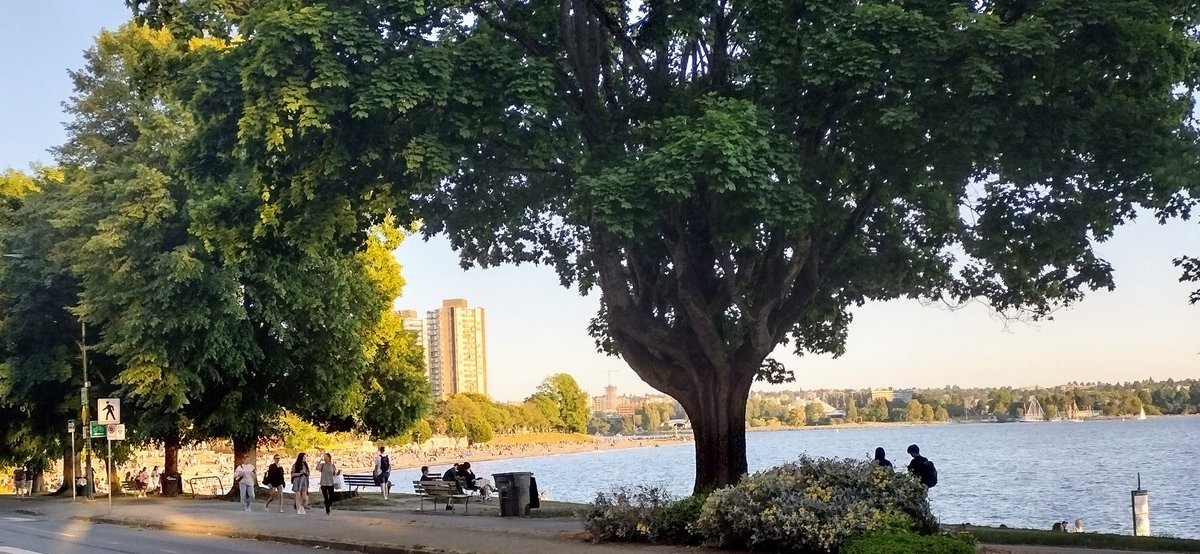 Professor Lorna Dougan tweet media