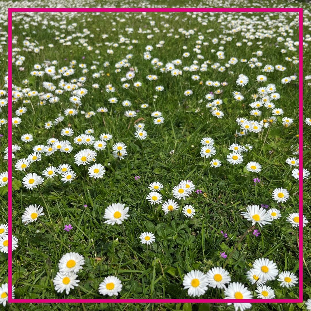 Genieten buiten? Wist je dat veel zoekers #voorjaar een #woning zoeken speciaal vanwege #tuin/balkon?🌺
 
Ook verhuisplannen maar weet je niet waar te beginnen?
📞0418-517277 of ✉️info@marijmakelaardij.nl 
 
Ontvang ook onze Jubileum Woontas
•

#makelaar #zaltbommel #huis