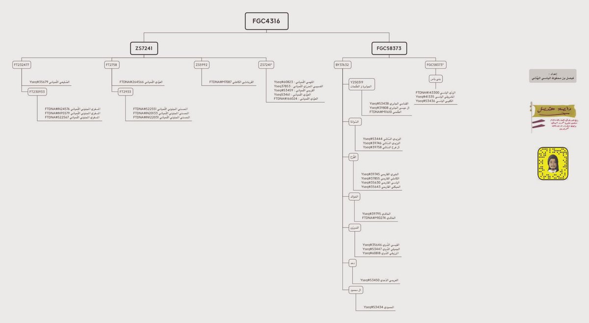 ﷽ 

نبشركم مبدئياً أننا صممنا مشجرة خاصة ب قبائل هذيل من

بني سعد بن هذيل
و
بني لحيان بن هذيل

والتفرعات والتقسيمات داخل المشجرة
ب التعاون معا ابن شهوان <a href="/B_4_D_R/">ابن شهْوان ..</a> ⚔️🔥

وسنستمر في جمع العينات من بقية قبائل هذيل ⚔️🔥