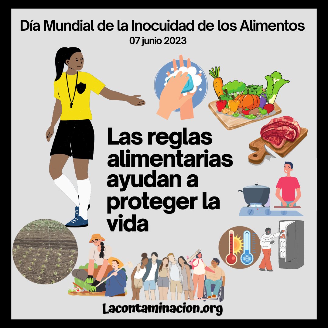 La #seguridadalimentaria debe ser un derecho de toda la población mundial, porque “Las normas alimentarias salvan vidas”.Por una  #alimentación más #sostenible y saludable para todos🌎💦👩‍🌾🍳🥗#DíaMundialdelaInocuidadAlimentaria #InocuidadAlimentaria #alimentos #comidaparatodos