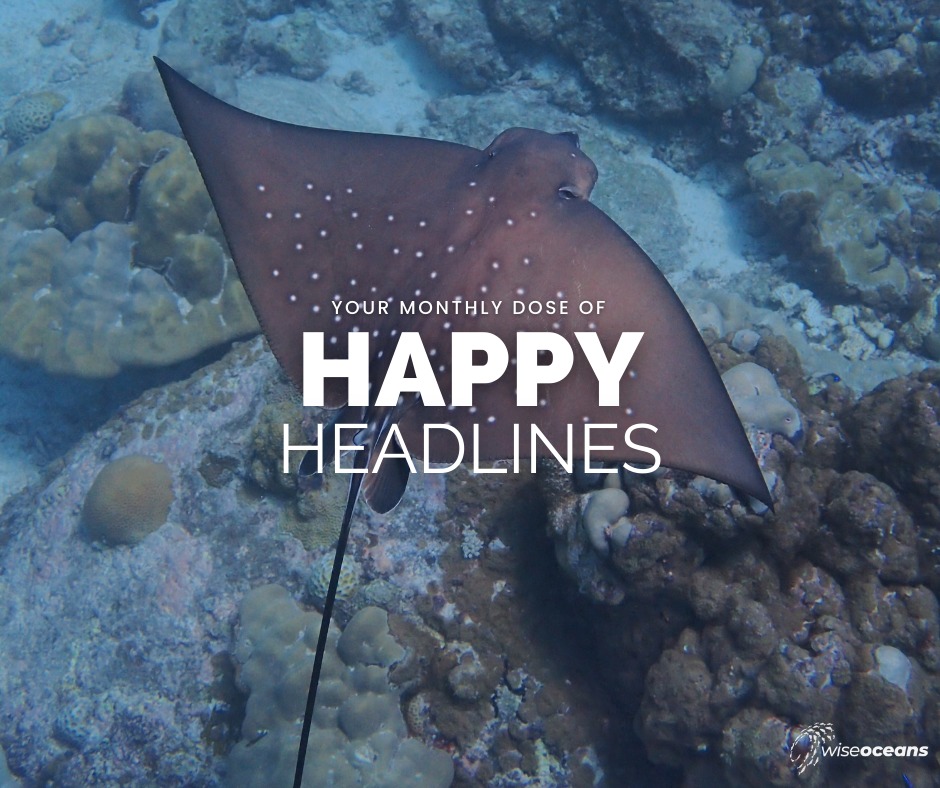 It's #HappyHeadlines time!

Read about May's #Happy #Headlines, including good news for #seals and #deepsea #discoveries here: wiseoceans.com/happy-headline…

#wiseoceans #blog #newblog #positive #ocean #news #stories