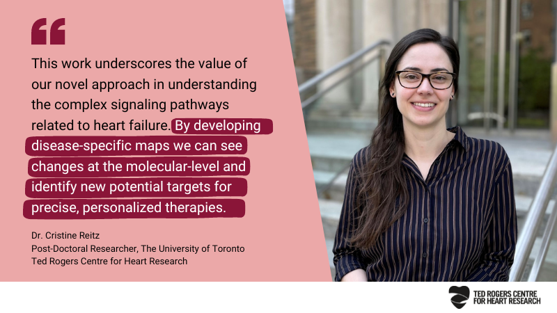 trogersresearch's tweet photo. 🔬 NEW research alert! The @A_Gramolini lab is using a novel approach to unlock new insights into the signaling pathways underlying #heartfailure, advancing our understanding of #cardiac disease and paving the way for personalized therapies! Read more: https://t.co/tlnD9dgxzY https://t.co/3Nz5wDo1Yt