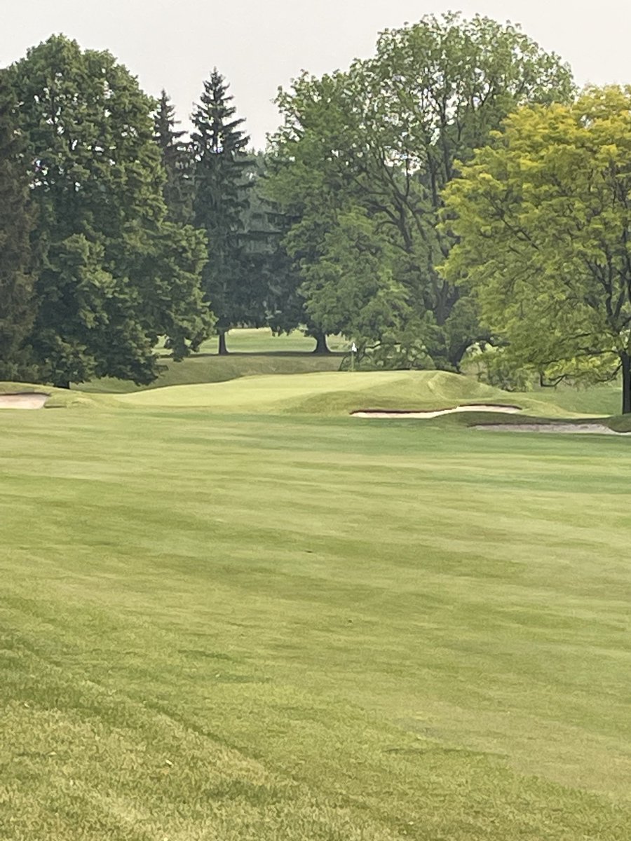 Lorne Rubenstein tweet media