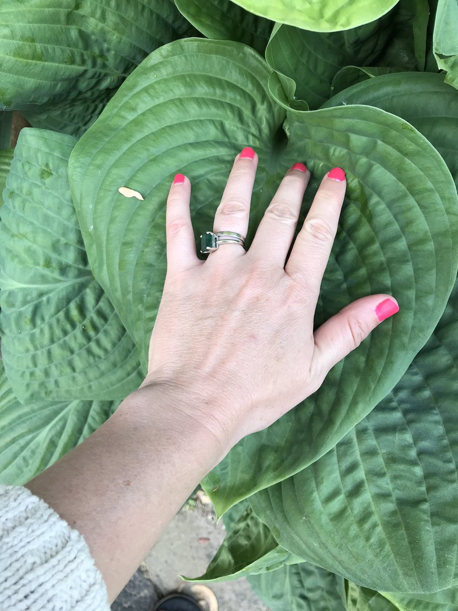 🌱Dig, Bitch, Dig - digbitchdig.wordpress.com tweet media