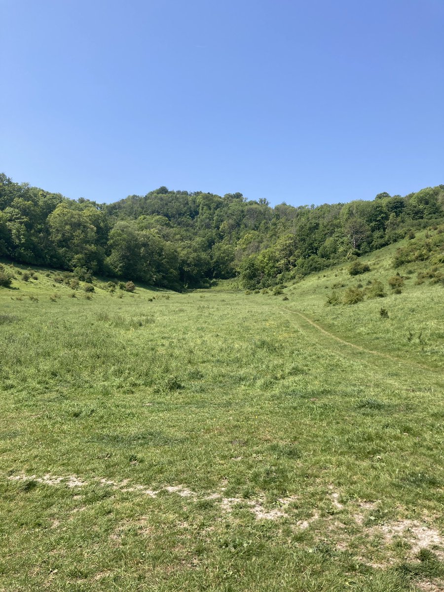 Not a bad spot for a work meeting. #SouthDowns