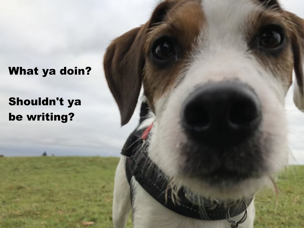 David Pen (@davidpenwriter) on Twitter photo 