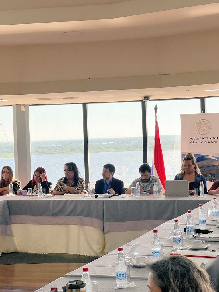 📝En desarrollo el análisis de la situación de los derechos humanos de las personas trans. La #MesaMultisectorialTrans fué creada por esta comision parlamentaria desde el año 2015.
#SenadoPy