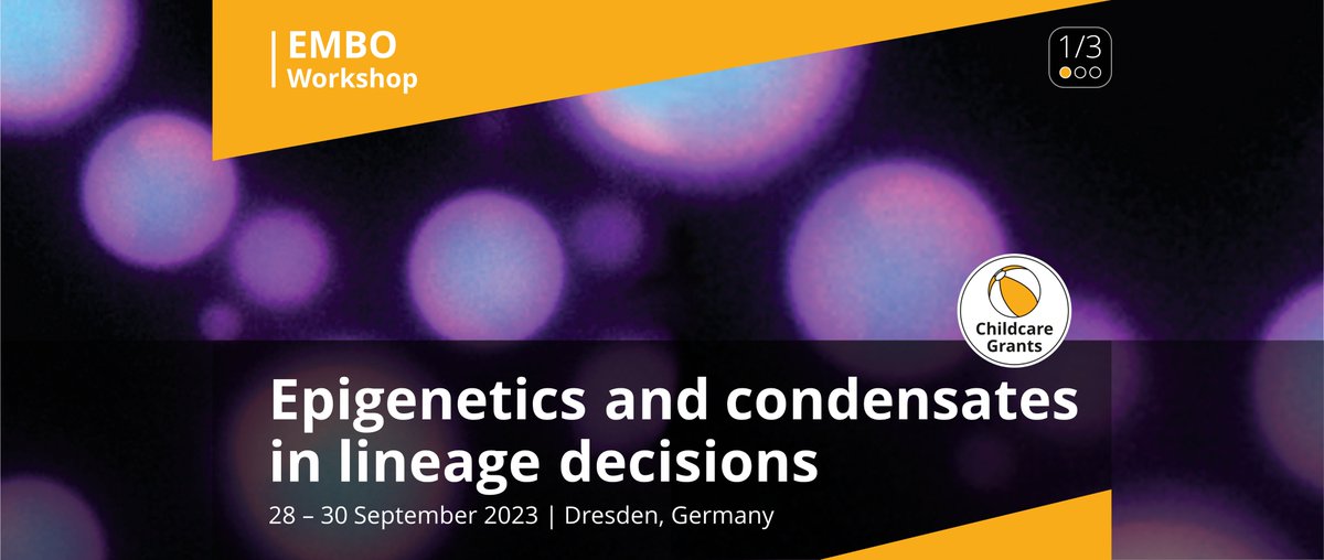 Feel invited to our <a href="/EMBO/">EMBO</a> Workshop: 
#Epigenetics and #condensates in lineage decisions. 

Taking place in September at the <a href="/CRTDpress/">CRTD</a>.

More information ⤵️
meetings.embo.org/event/23-epige…

#EMBOepigenetics