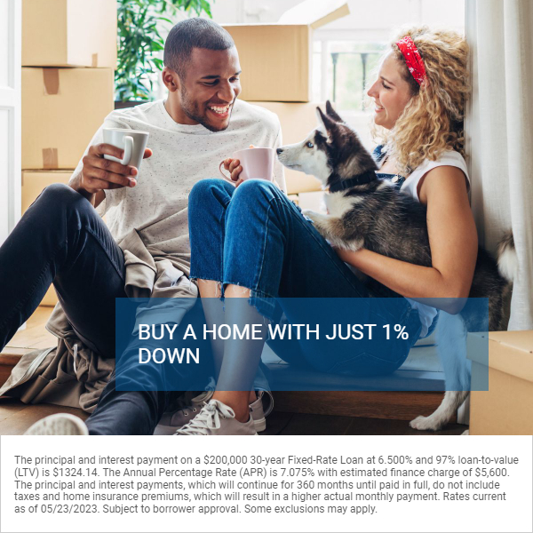 The most powerful way into a home in 2023-just 1% down payment for households below the average median income. 

Need to check where you or your clients land?  Contact us now--get us your zip code and annual income and we will quote you in 5 minutes! 

The Wilmore Team