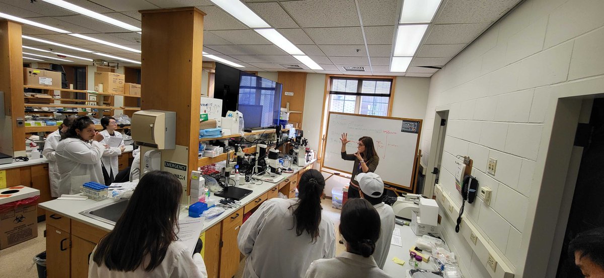 CSHL Mouse Course (@cshlmousecourse) on Twitter photo The 2023 CSHL Mouse Course has officially kicked off! Eszter Pos@EPosfai from <a href="/Princeton/">Princeton University</a> gave an exciting presentation last night and today we are learning IVF from Yojiro Yamanaka and Mitra Cowan from McGill. The 2023 CSHL Mouse Course has officially kicked off! Eszter Pos@EPosfai from <a href="/Princeton/">Princeton University</a> gave an exciting presentation last night and today we are learning IVF from Yojiro Yamanaka and Mitra Cowan from McGill.