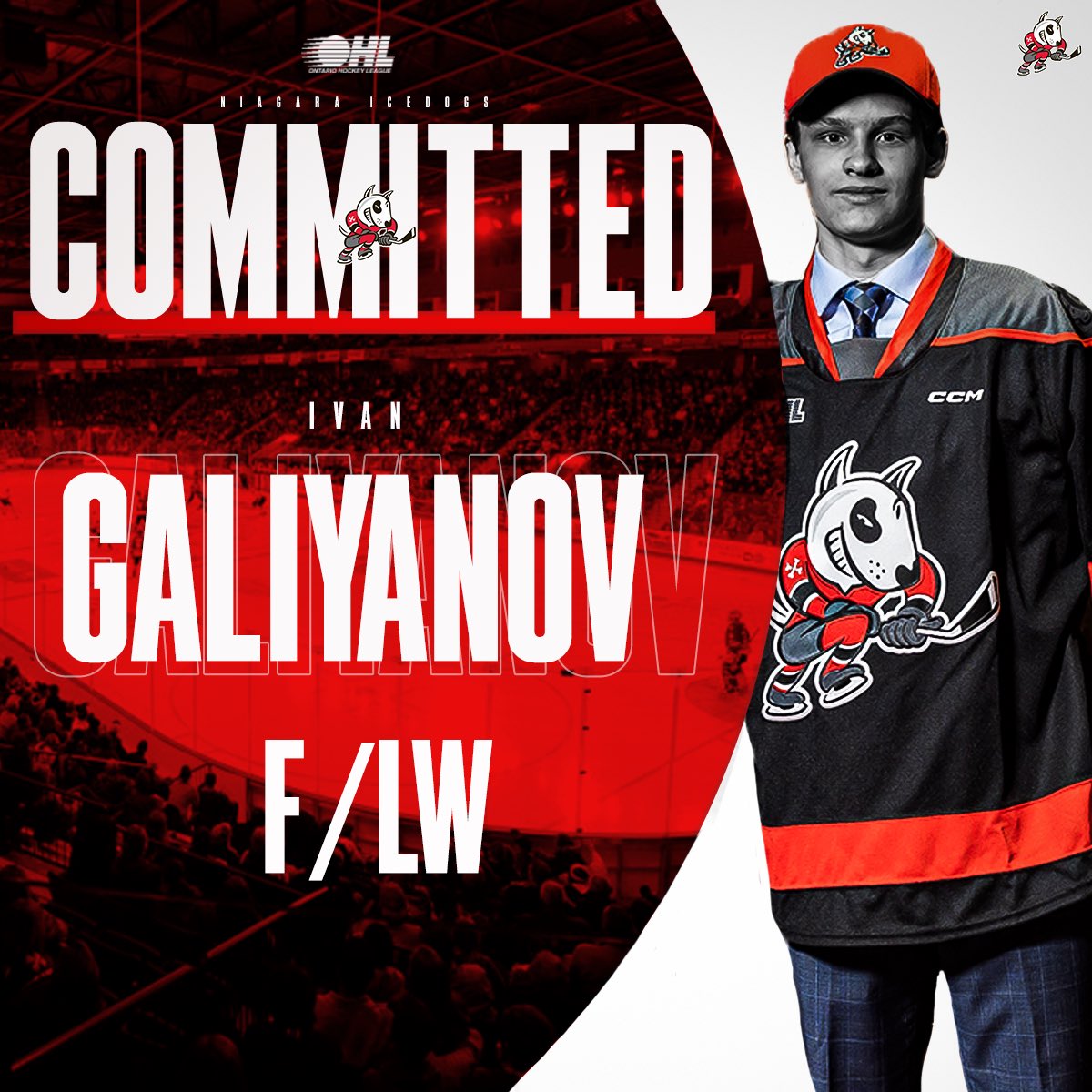 OHLIceDogs's tweet image. ANOTHER ONE😎

The Niagara IceDogs are pleased to announce the commitment of Ivan Galiyanov.

Let’s officially welcome Galiyanov to the IceDogs family🐶

#godogsgo | @OHLHockey