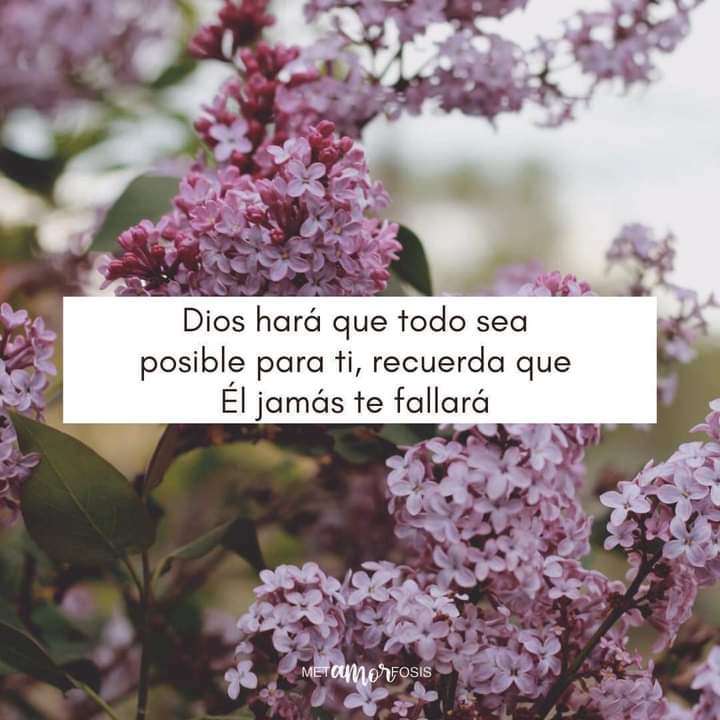 Ana Isabel Vargas (@vargas_anisabel) on Twitter photo 