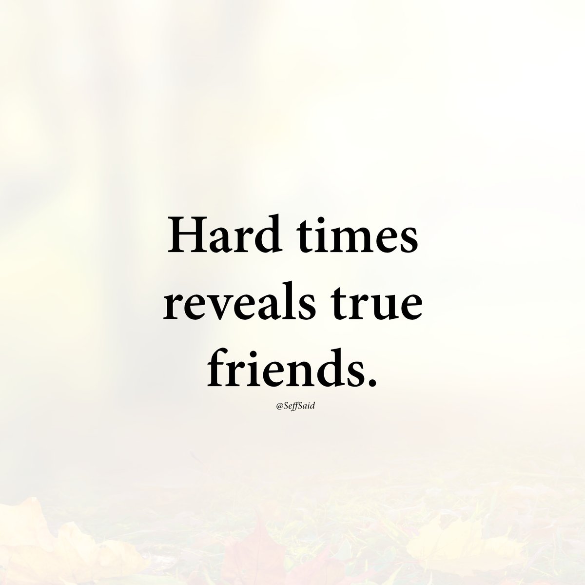 Definitely this 👇