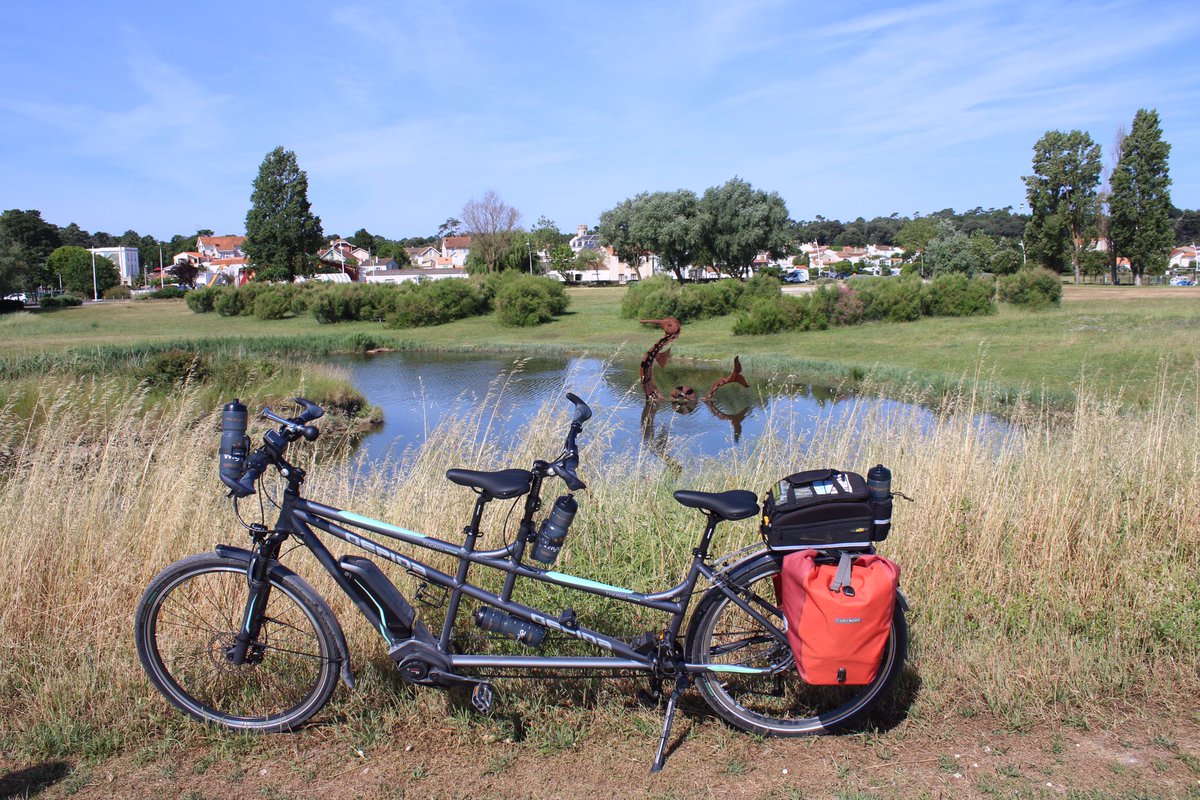 Martin Hey tweet media