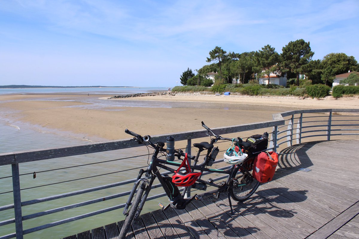 Martin Hey tweet media