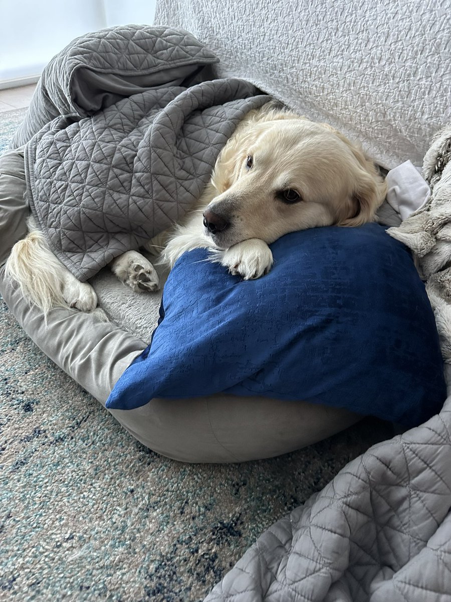 BartBaker's tweet photo. I love my dog 🐶 https://t.co/6NkfBSL9Ba