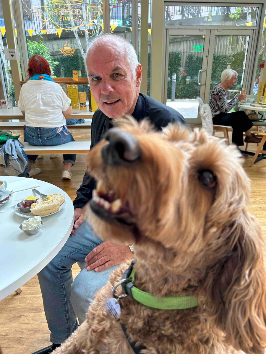 coffeesaints's tweet photo. Pepper here was the first pup to ride the new Edinburgh Trams line from Newhaven today…….as you can see he was very excited by it!!! 😁🐶🚉 #Coffeesaintsdogs #edinburghtransport #firstofhiskind #cavapoo #travellingdogs #edinburghdogs #newhaven https://t.co/fdpACFEWzt