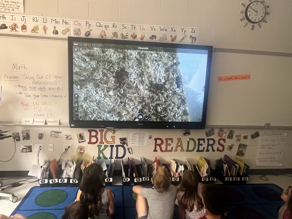 Kerry Leahey and Mallory Coffin tweet media